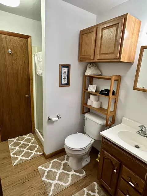Bath - 60 Bruce Drive Mio Mi 48647 Dr, Mio, MI 48647 photo 2 of 3