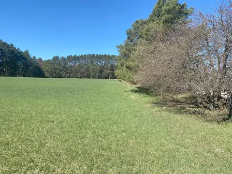Indian Trail Road, Cheboygan, MI 49721