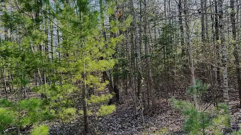 301 Winyah Drive Alpena Mi 49707 Dr, Alpena, MI 49707