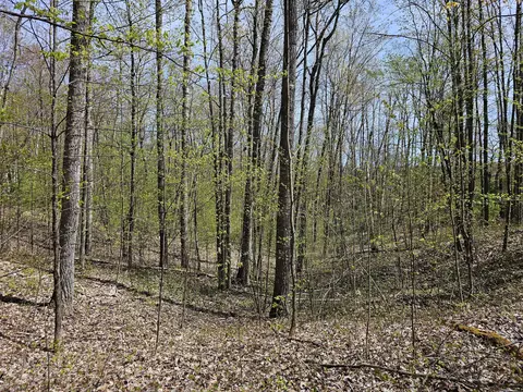 16599 Timber Line Drive Wolverine Mi 49799 Dr, Wolverine, MI 49799 photo 6
