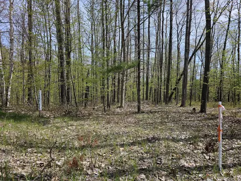 16599 Timber Line Drive Wolverine Mi 49799 Dr, Wolverine, MI 49799