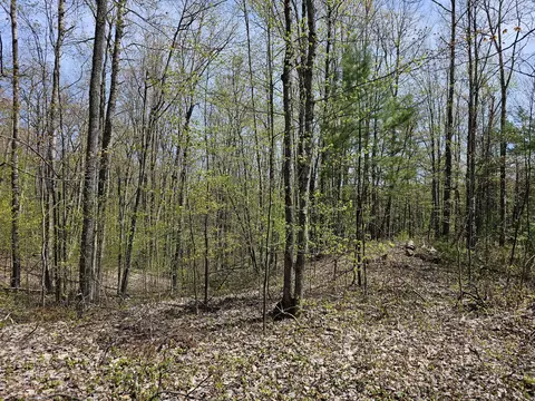 16599 Timber Line Drive Wolverine Mi 49799 Dr, Wolverine, MI 49799 photo 5