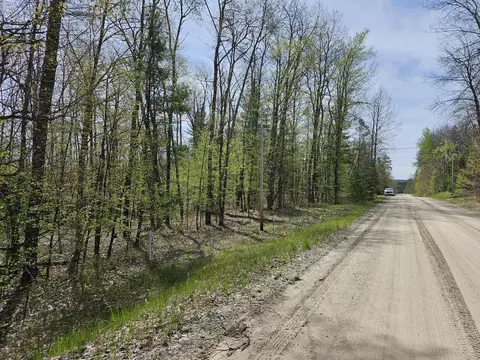 16599 Timber Line Drive Wolverine Mi 49799 Dr, Wolverine, MI 49799 photo 9