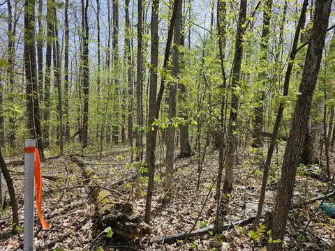 16599 Timber Line Drive Wolverine Mi 49799 Dr, Wolverine, MI 49799 photo 8