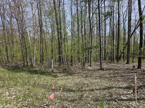 16599 Timber Line Drive Wolverine Mi 49799 Dr, Wolverine, MI 49799 photo 10