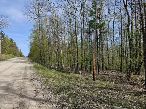 16599 Timber Line Drive Wolverine Mi 49799 Dr, Wolverine, MI 49799 photo 3