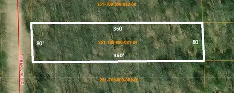16599 Timber Line Drive Wolverine Mi 49799 Dr, Wolverine, MI 49799 photo 11