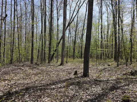 16599 Timber Line Drive Wolverine Mi 49799 Dr, Wolverine, MI 49799 photo 7