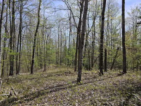 16599 Timber Line Drive Wolverine Mi 49799 Dr, Wolverine, MI 49799 photo 4