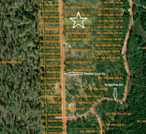 16599 Timber Line Drive Wolverine Mi 49799 Dr, Wolverine, MI 49799 photo 2