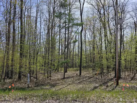 16599 Timber Line Drive Wolverine Mi 49799 Dr, Wolverine, MI 49799 photo 12