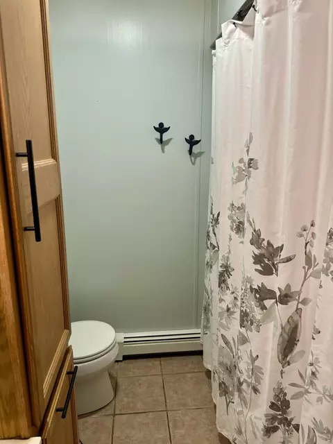 308 Mccormack St, Mio, MI 48647 photo 20