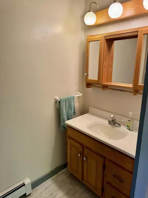 308 Mccormack St, Mio, MI 48647 photo 21