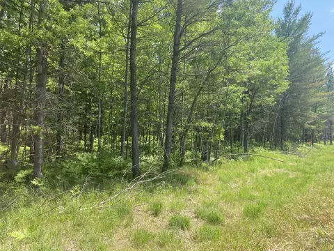 W M-72 Highway, Grayling, MI 49738