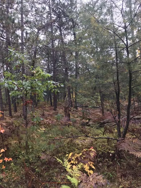 9439 Outing Place Lots 36-45 Grayling Mi 49738 Pl #LOT S 36-45, Grayling, MI 49738 photo 4