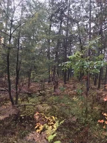 9439 Outing Place Lots 36-45 Grayling Mi 49738 Pl #LOT S 36-45, Grayling, MI 49738 photo 5
