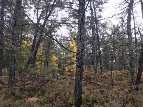 9439 Outing Place Lots 36-45 Grayling Mi 49738 Pl #LOT S 36-45, Grayling, MI 49738 photo 3