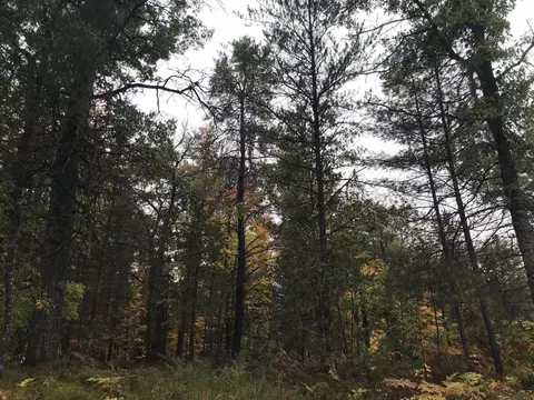 9439 Outing Place Lots 36-45 Grayling Mi 49738 Pl #LOT S 36-45, Grayling, MI 49738