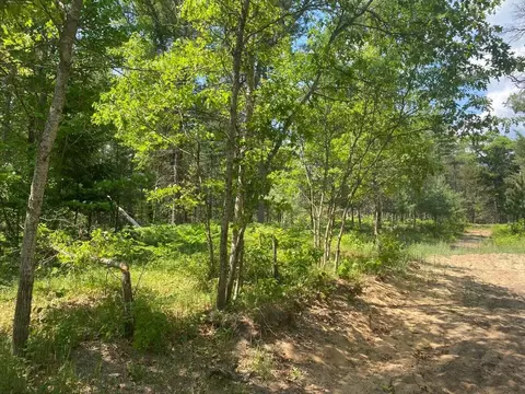Chicago Boulevard, Grayling, MI 49738