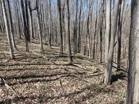 Bilder Road, Wolverine, MI 49799 photo 20