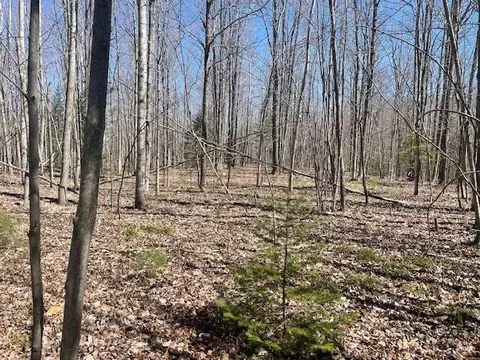 Bilder Road, Wolverine, MI 49799 photo 6