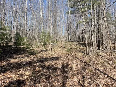 Bilder Road, Wolverine, MI 49799