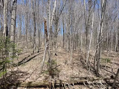 Bilder Road, Wolverine, MI 49799 photo 10