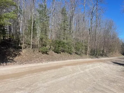 Bilder Road, Wolverine, MI 49799 photo 2