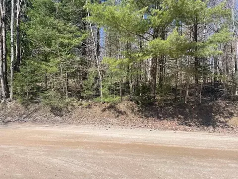 Bilder Road, Wolverine, MI 49799 photo 4
