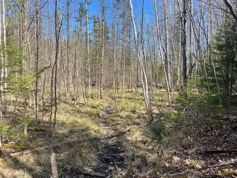 Bilder Road, Wolverine, MI 49799 photo 9