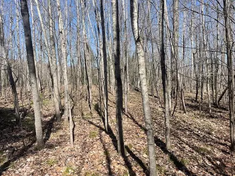 Bilder Road, Wolverine, MI 49799 photo 5