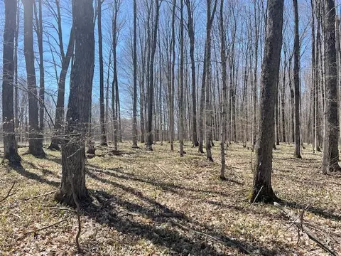 Bilder Road, Wolverine, MI 49799 photo 21