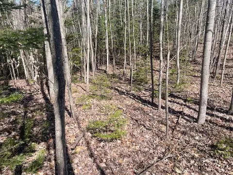 Bilder Road, Wolverine, MI 49799 photo 7