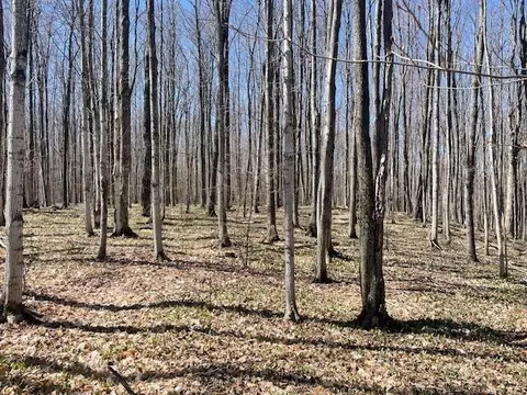 Bilder Road, Wolverine, MI 49799 photo 19