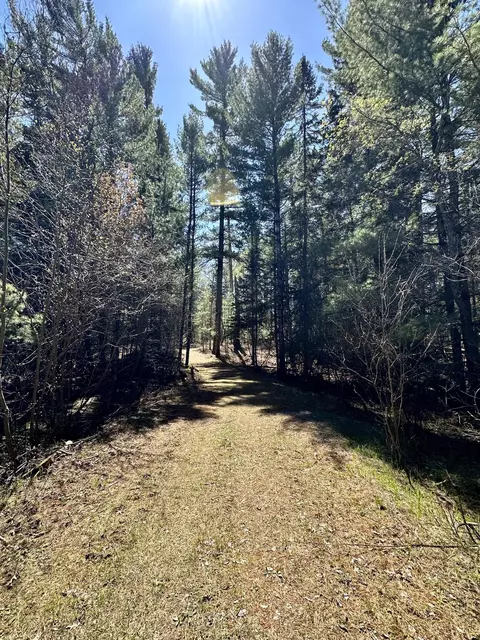Other - 2434 Jack Pine Dr, Grayling, MI 49738 photo 25 of 26