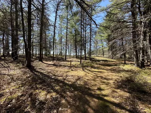 Exterior - 2434 Jack Pine Dr, Grayling, MI 49738 photo 17 of 21