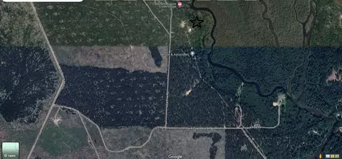 View/Area - 2434 Jack Pine Dr, Grayling, MI 49738 photo 3 of 5