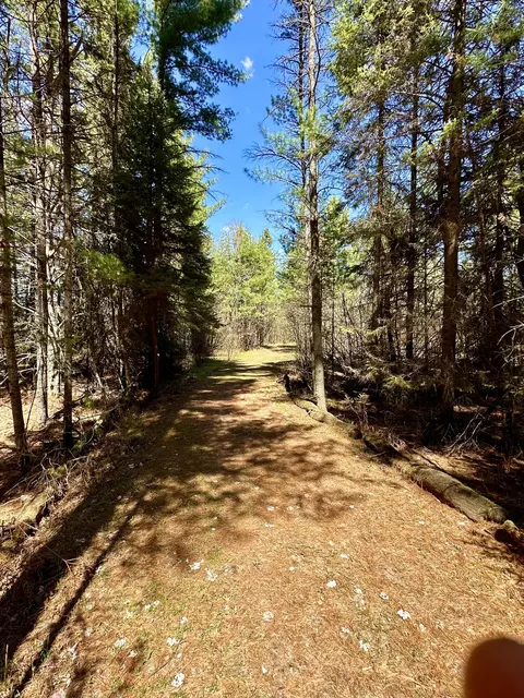Other - 2434 Jack Pine Dr, Grayling, MI 49738 photo 21 of 26