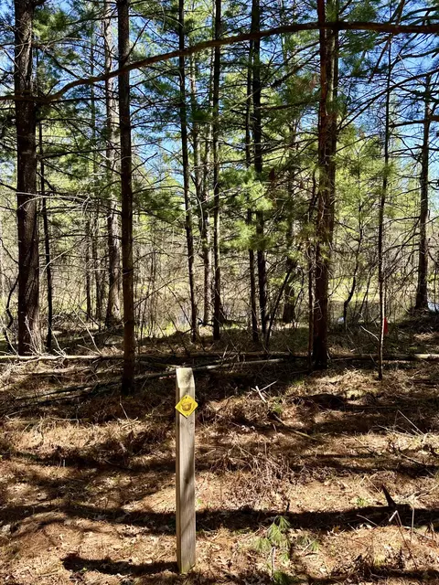 Other - 2434 Jack Pine Dr, Grayling, MI 49738 photo 24 of 26