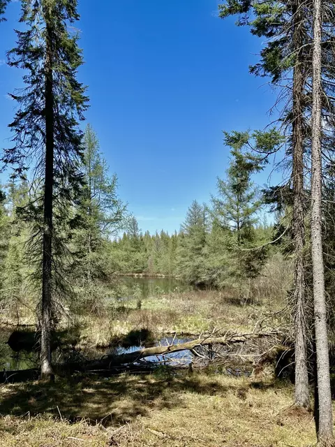 View/Area - 2434 Jack Pine Dr, Grayling, MI 49738 photo 2 of 5