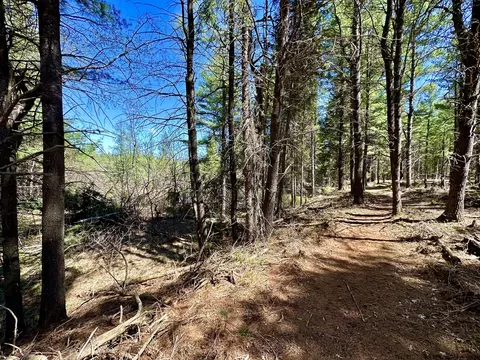 Other - 2434 Jack Pine Dr, Grayling, MI 49738 photo 16 of 26