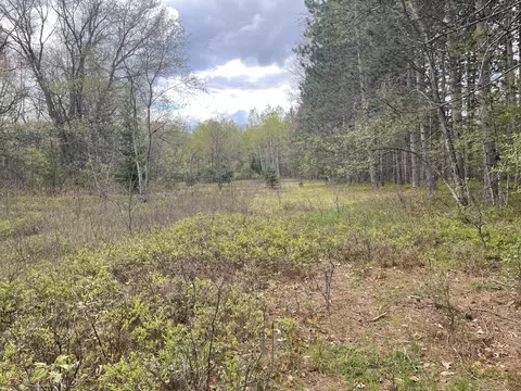 Lansing Road, Houghton Lake, MI 48629