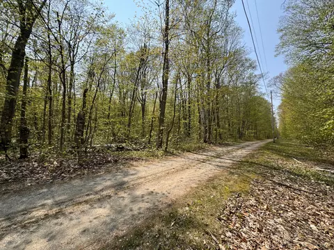 Off Us-23 #& RASPBERRY LANE, Cheboygan, MI 49721 photo 3