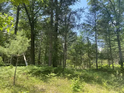 W M-72 Highway, Grayling, MI 49738