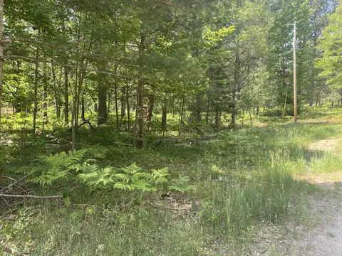 W M-72 Highway, Grayling, MI 49738 photo 8