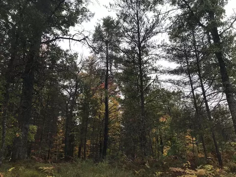 W M-72 Highway, Grayling, MI 49738 photo 12