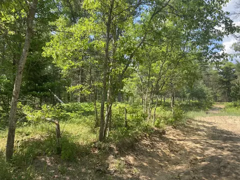 W M-72 Highway, Grayling, MI 49738 photo 7