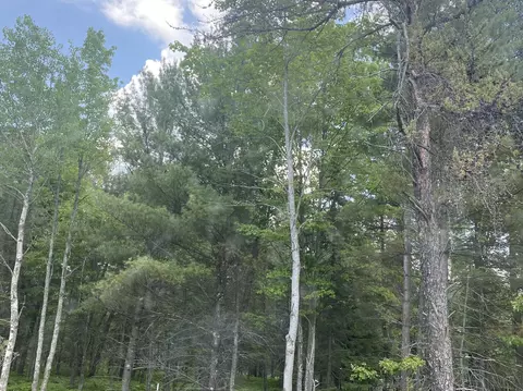 W M-72 Highway, Grayling, MI 49738 photo 6