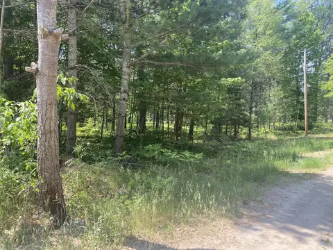 W M-72 Highway, Grayling, MI 49738 photo 4