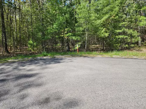 6571 Link Boulevard Indian River Mi 49749 Blvd, Indian River, MI 49749 photo 3